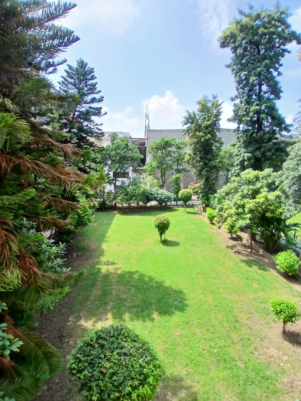 College Image